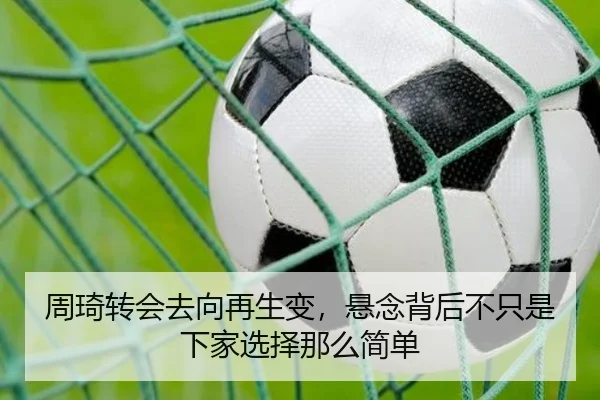 周琦转会去向再生变，悬念背后不只是下家选择那么简单 - kaiyun